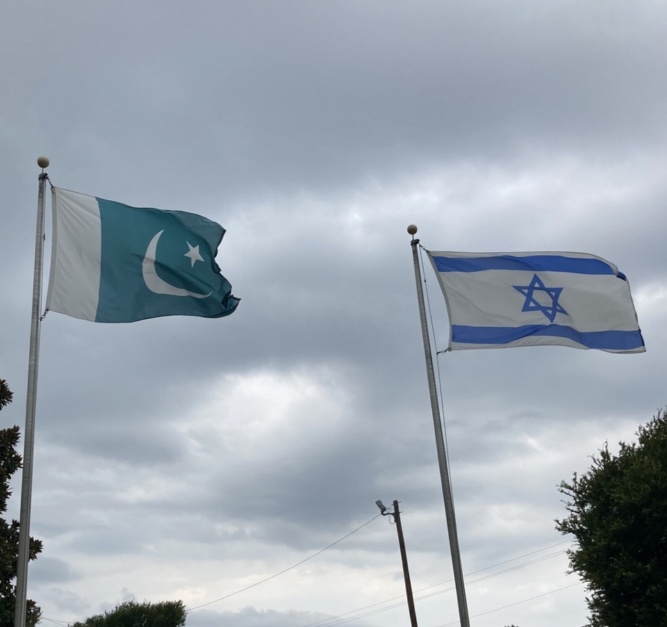 Flag of Pakistan featuring crescent and star